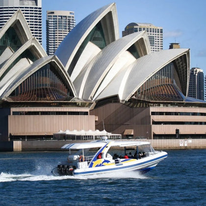 2.5hr Adventure Whale Watching Cruise