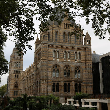 A historic stone building with ornate architecture, surrounded by trees and greenery, on an overcast day.