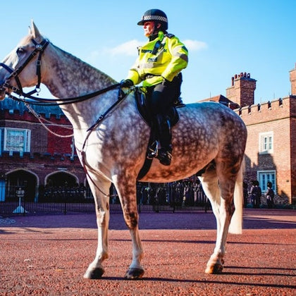 British Royalty: Watch the Changing of the Guard