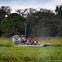 A group of people rides an airboat through a grassy wetland, with trees visible in the background.