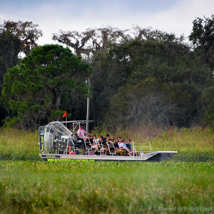 A group of people rides an airboat through a grassy wetland, with trees visible in the background.