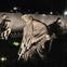Statues of soldiers holding rifles in a nighttime memorial, with a reflective wall in the background.