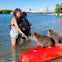 Kayaks and paddleboards on the water with wildlife.