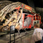 Ground Zero All-Access Guided Tour + 9/11 Museum + One World Observatory