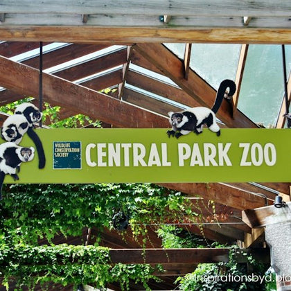 Central Park Zoo