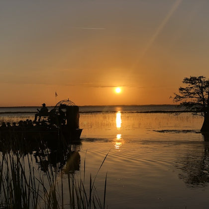Airboat with passengers on a calm lake at sunset, surrounded by reeds and a lone tree in the water.