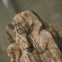Met Express: Highlights of the Metropolitan Museum of Art
by Take Walks