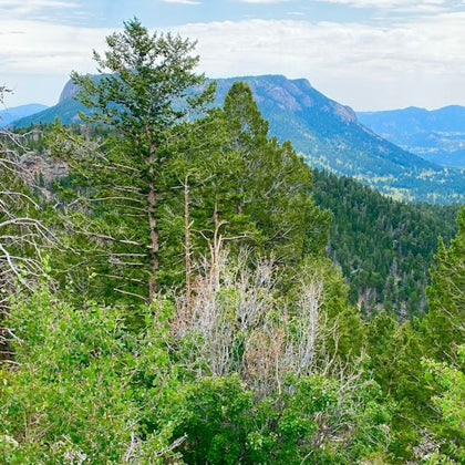 A scenic view of a forested mountain landscape with trees in the foreground and distant hills under a cloudy sky.