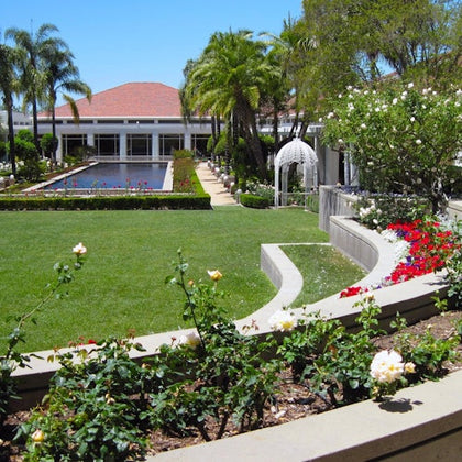 Pat Nixon Rose Garden