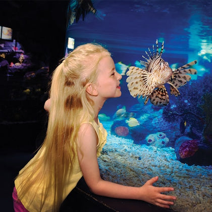 A young girl looking at a lionfish in an aquarium, with underwater scenery of rocks and corals visible in the background.