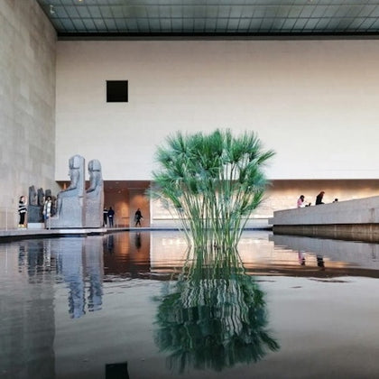 Metropolitan Museum of Art Highlights Tour