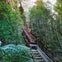 Enjoy the thrilling rides at Scenic World