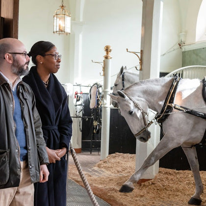The Royal Mews, Buckingham Palace