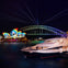 Magistic Cruise
