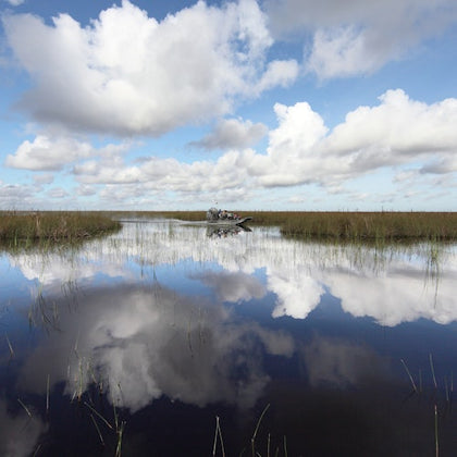 Sawgrass Recreation Park