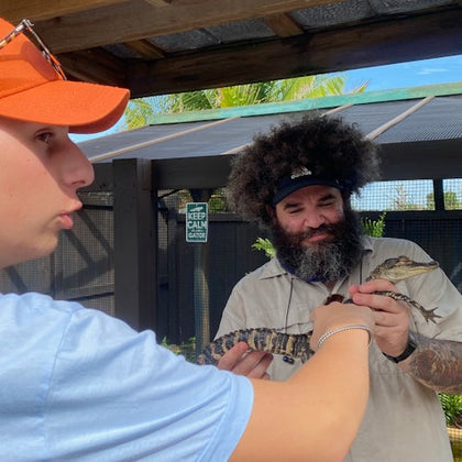 Baby Alligator 