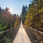 Capilano Suspension Bridge