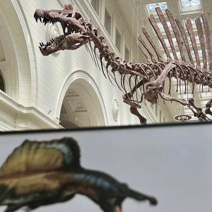 Field Museum 