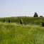 Avebury Stone Circle