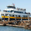 Bay Cruise at Pier 39 with sea lions