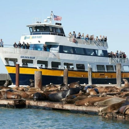 Bay Cruise at Pier 39 with sea lions