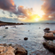 From San Francisco: Day Trip To Monterey and Carmel by the Sea