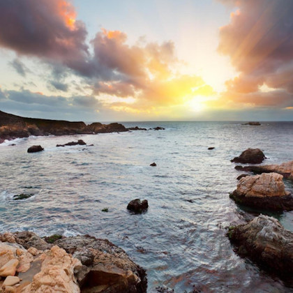 From San Francisco: Day Trip To Monterey and Carmel by the Sea