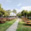 From San Francisco: Napa & Sonoma Valley Full Day Wine Tour