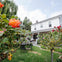 From San Francisco: Napa & Sonoma Valley Full Day Wine Tour