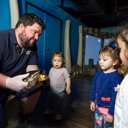 SEA LIFE Sydney Aquarium: Entry Ticket