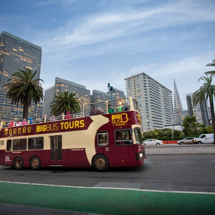1-Day Hop on Hop off Bus + San Francisco Bay Cruise
