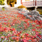 Dr. Sun Yat-Sen Chinese Garden: Entry Ticket + Guided Tour Option
