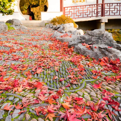 Dr. Sun Yat-Sen Chinese Garden: Entry Ticket + Guided Tour Option