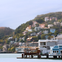 From San Francisco: Day Trip to Muir Woods & Sausalito