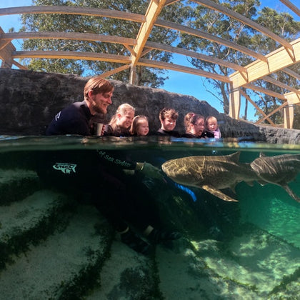A group of people in wetsuits observing a shark underwater in a clear aquarium with a wooden structure visible above.