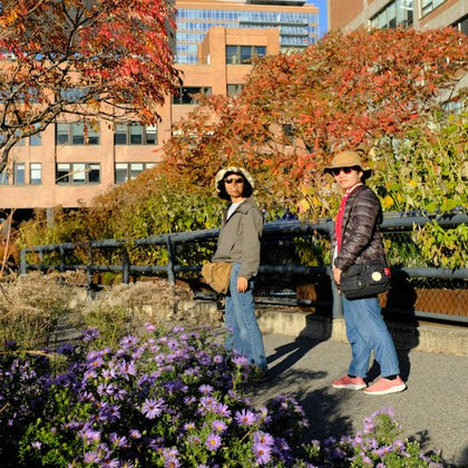 High Line, Chelsea & Hudson Yards Walking with Edge Ticket