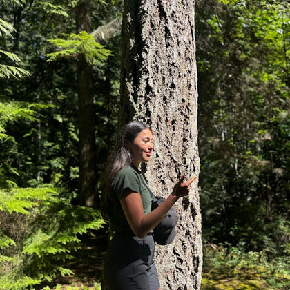 A person stands in a forest, touching the trunk of a tree, surrounded by sunlight and dense greenery.