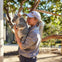 Koala at Zoo