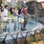 Up close and personal with the rescued Sea Lions