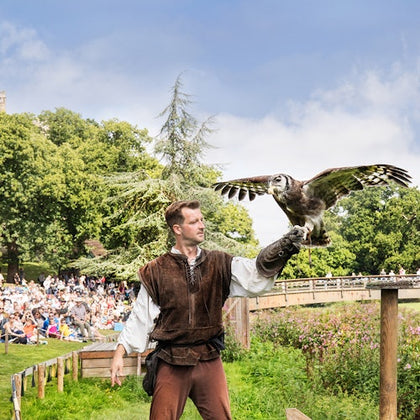Warwick Castle: Entry Ticket