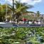 The Everglades Safari Park airboat