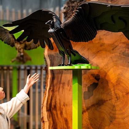 Visitor interacting with new exhibit, California: State of Nature.