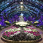 See special winter floral displays
