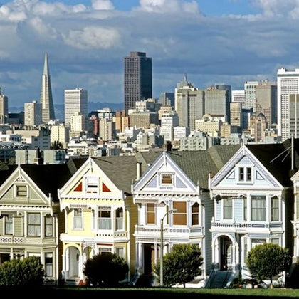 Painted Ladies