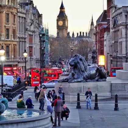 Top Sights Tours photo