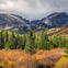 Mountain landscape with a variety of trees in autumn colors, under a cloudy sky obscuring the mountain peaks.