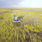 Fort Lauderdale: 1-Hr Private Everglades Airboat Tour