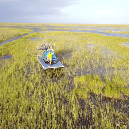 Fort Lauderdale: 1-Hr Private Everglades Airboat Tour
