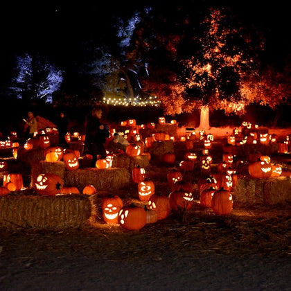 A nighttime Halloween scene with numerous carved, lit pumpkins on hay bales, and faintly visible people among them.