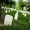 Honoring the fallen